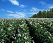 克山天气预报40天