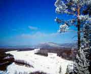 呼中天气预报7天