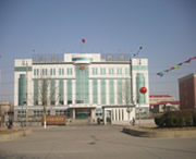 元氏天气预报10天