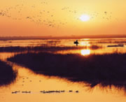 衡水天气预报60天