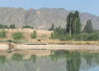 横山天气预报7天