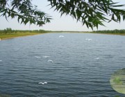 商河天气预报60天