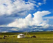 清水河天气预报7天