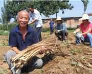 温县天气预报40天