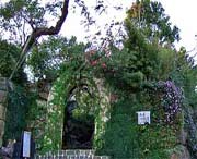 临安天气预报10天