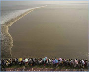 海宁天气预报60天