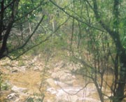 开化天气预报15天