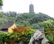 蒙城天气预报60天