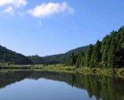 凤阳天气预报7天