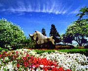 庐山天气预报60天