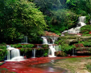 赤水天气预报7天