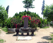 郫县天气预报10天