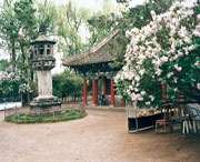 黑水天气预报60天