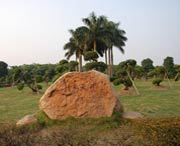 新会天气预报60天