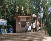 勐腊天气预报30天